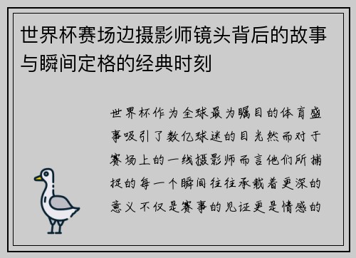 世界杯赛场边摄影师镜头背后的故事与瞬间定格的经典时刻