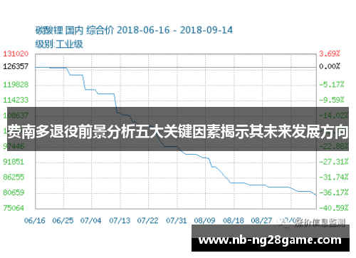 费南多退役前景分析五大关键因素揭示其未来发展方向