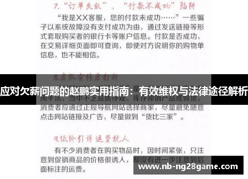 应对欠薪问题的赵鹏实用指南：有效维权与法律途径解析